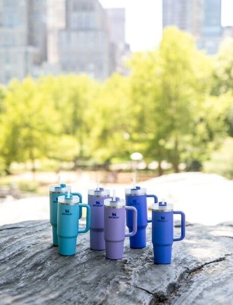 STANLEY Quencher H2.0 Tumbler with Handle and Straw 14 oz | Flowstate 3-Position Lid | Cup Holder Compatible for Travel | Insulated Stainless Steel Cup | BPA-Free | Meadow